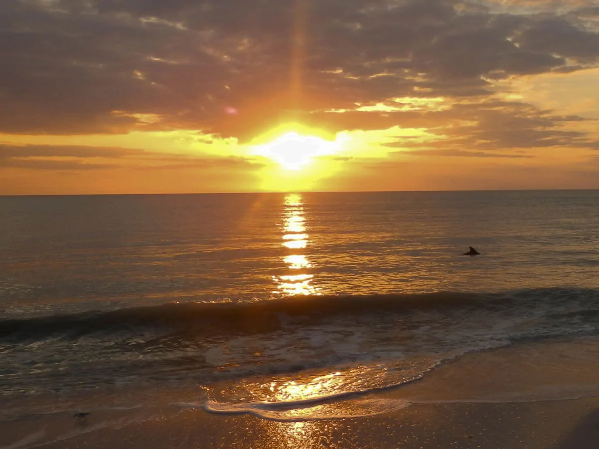 Naples Florida - Sunset - Dolphin Sighting