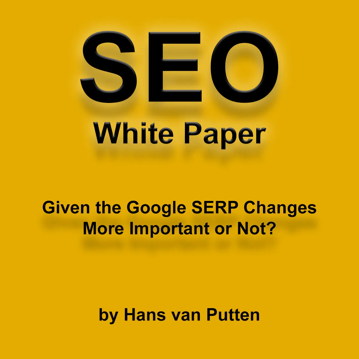 Hans van Putten - Portfolio - SEO White Paper